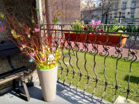 IMG_20190405_130018355_HDR.jpg