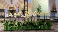 IMG-20170618-WA0021.jpg